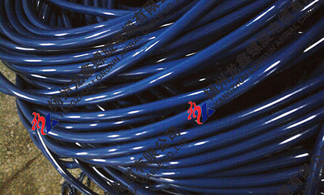 照片0741_副本_副本