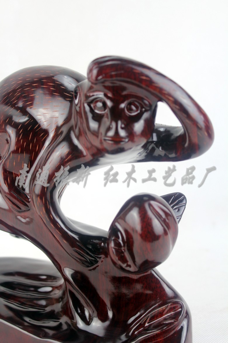 照片 2305_conew1