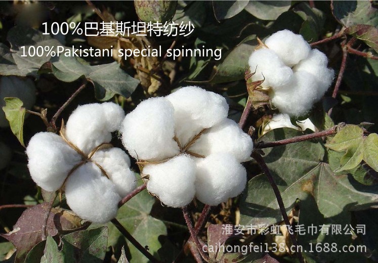 QQ图片9