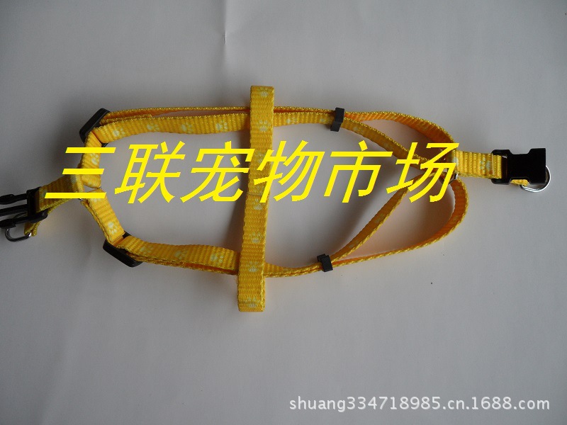 SAM_0905