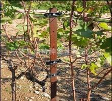 12031110300611663603