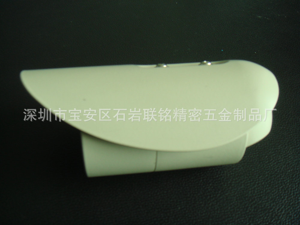 DSC04271