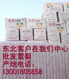 rj67psqontnq80kog42au6pta0_2