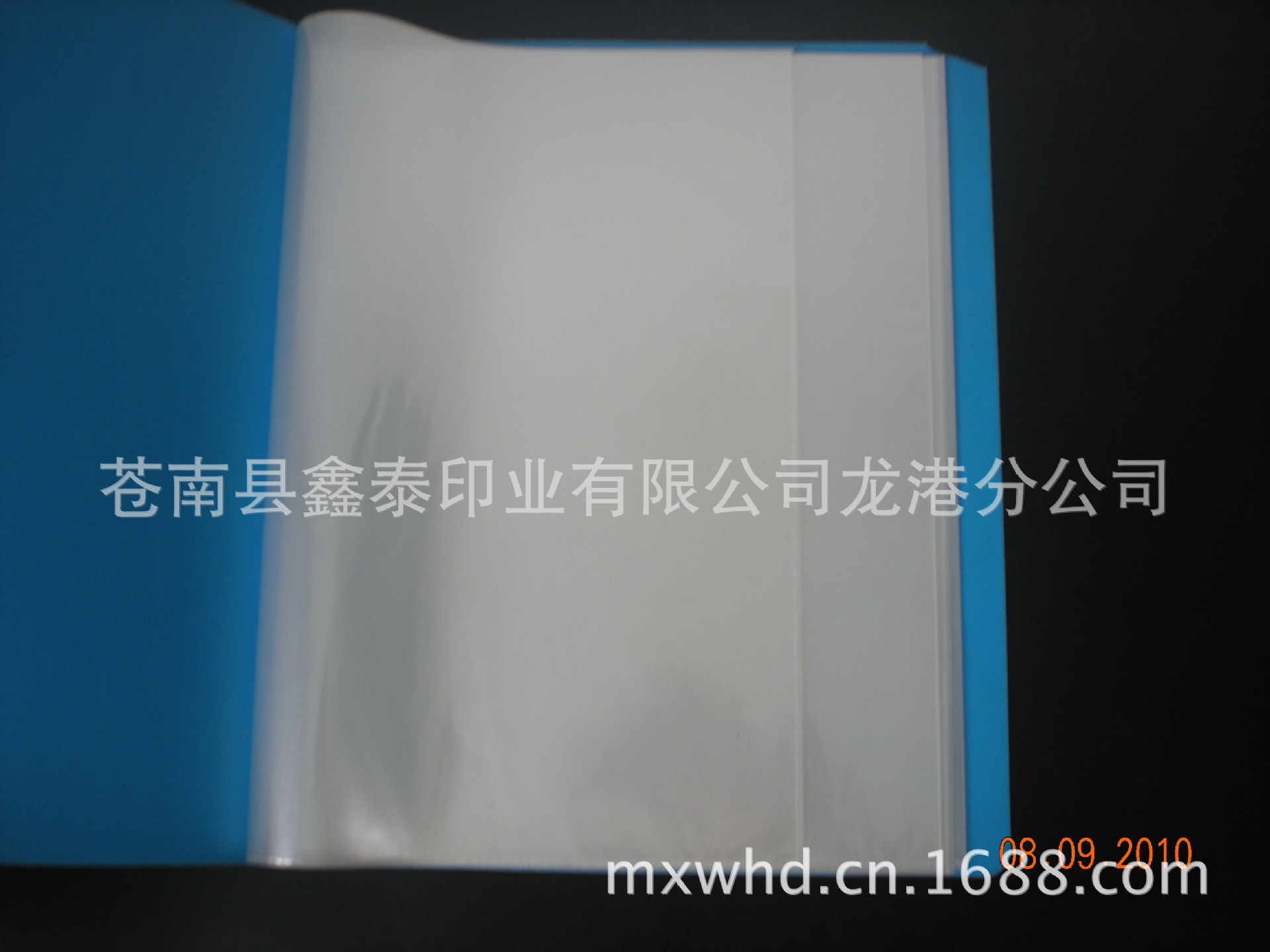 DSCN6352