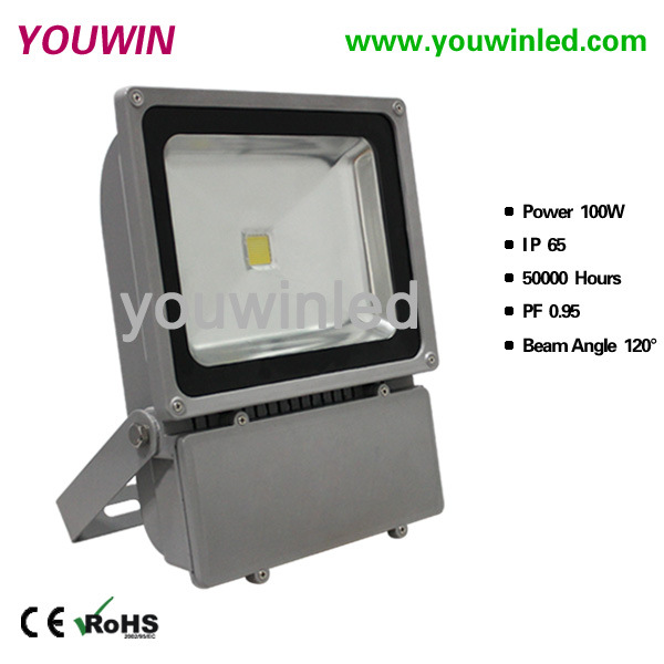 YW2014-100W-1