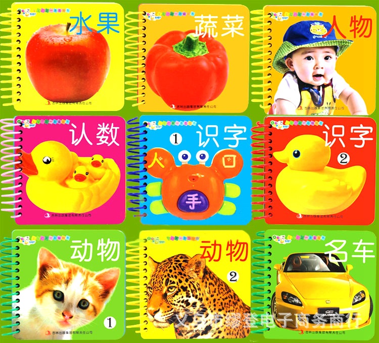 撕不烂/破的书认知翻翻书儿童宝宝早教识字卡片口袋卡