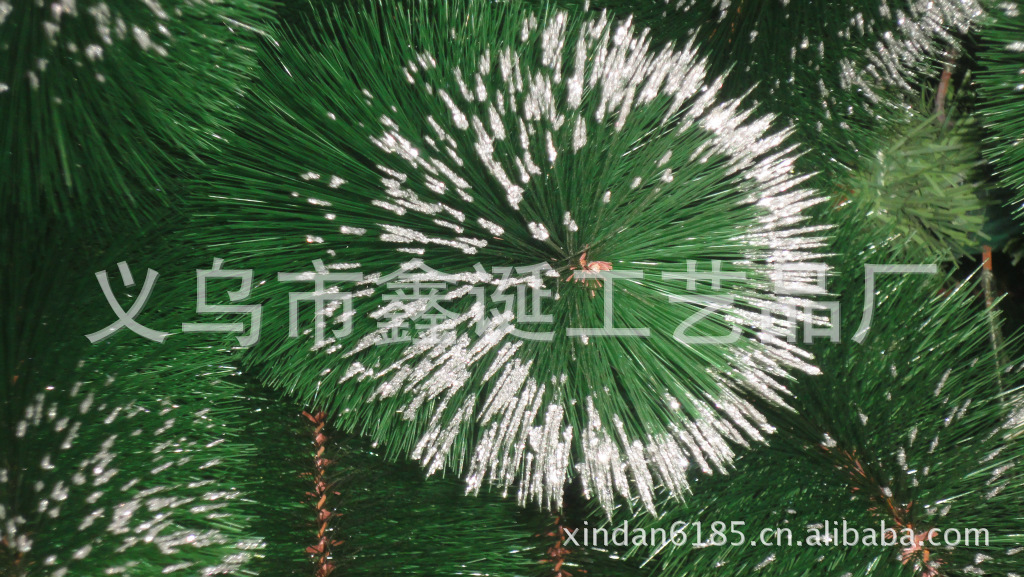 DSC02238