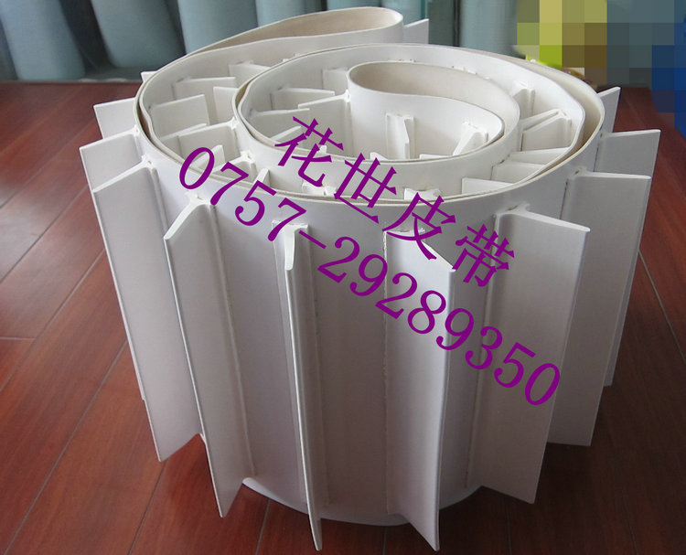 裙边档板输送带 (20)