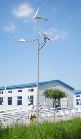 CCFG-003