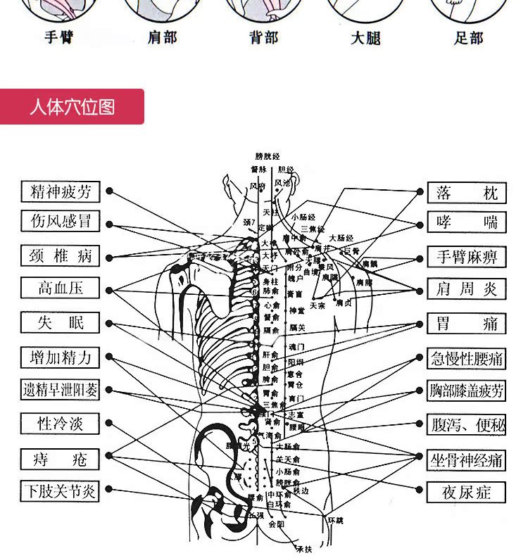 海豚詳情_08