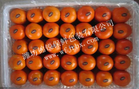 脐橙装箱带