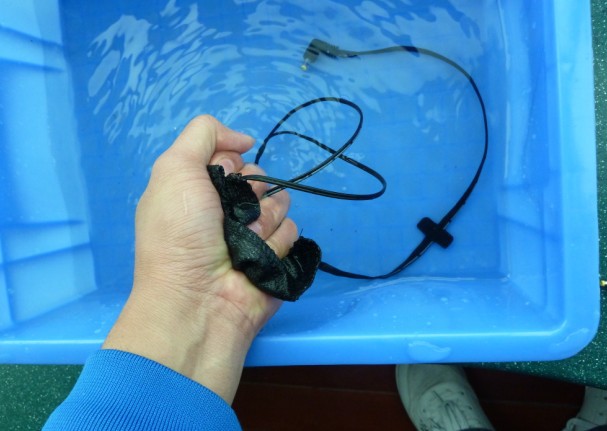 1P)UXN~MMKG9_E[F$QU{(CP