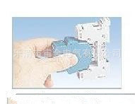 907838196_785876541_副本