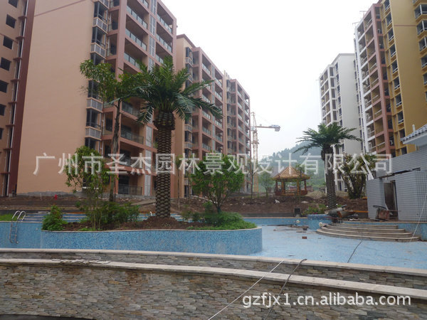 重庆坤邦P1080967