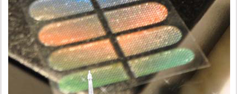 鑽石指甲貼29