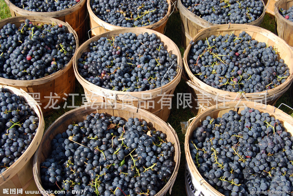 2130807_150926061742_2