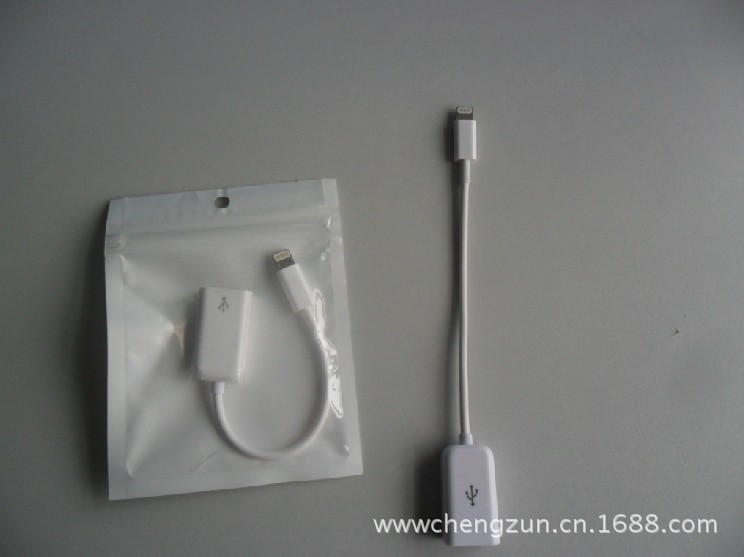 ipad mini讀卡器