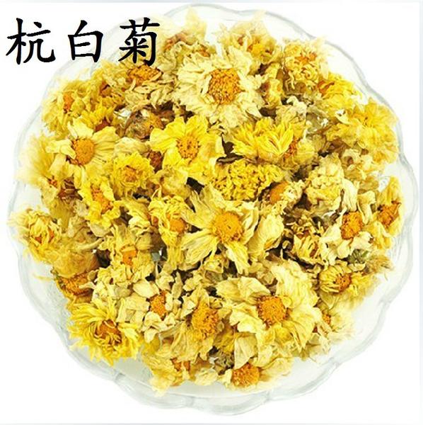 批发厂家直销特级杭白菊 养生养肝味纯杭桐乡白菊花 胎菊 白菊茶