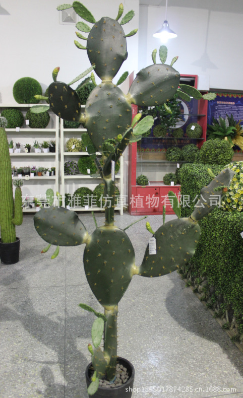 QQ截图20130629171526