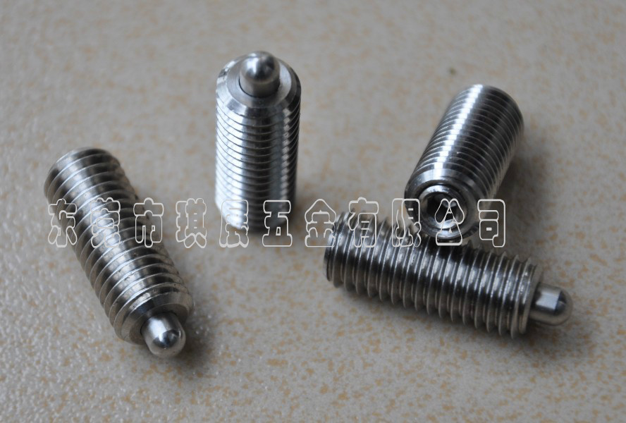 不锈钢弹簧柱塞1