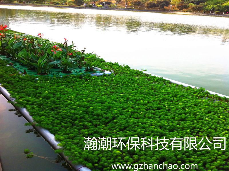 > 碳素纤维草,人工水草,植物水草,浮床植物填料    瀚潮生态浮床