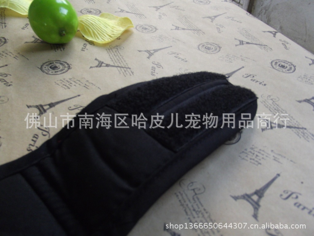 DSCF1643