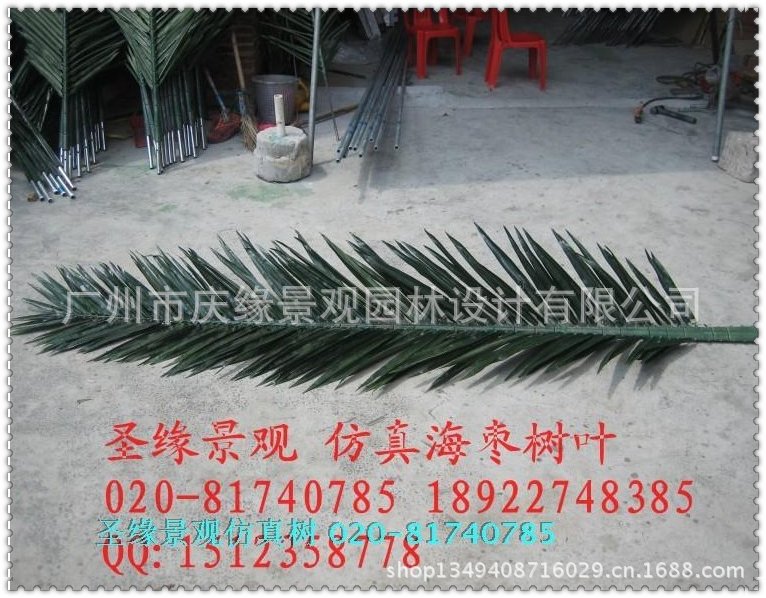 qq图片20130614101735