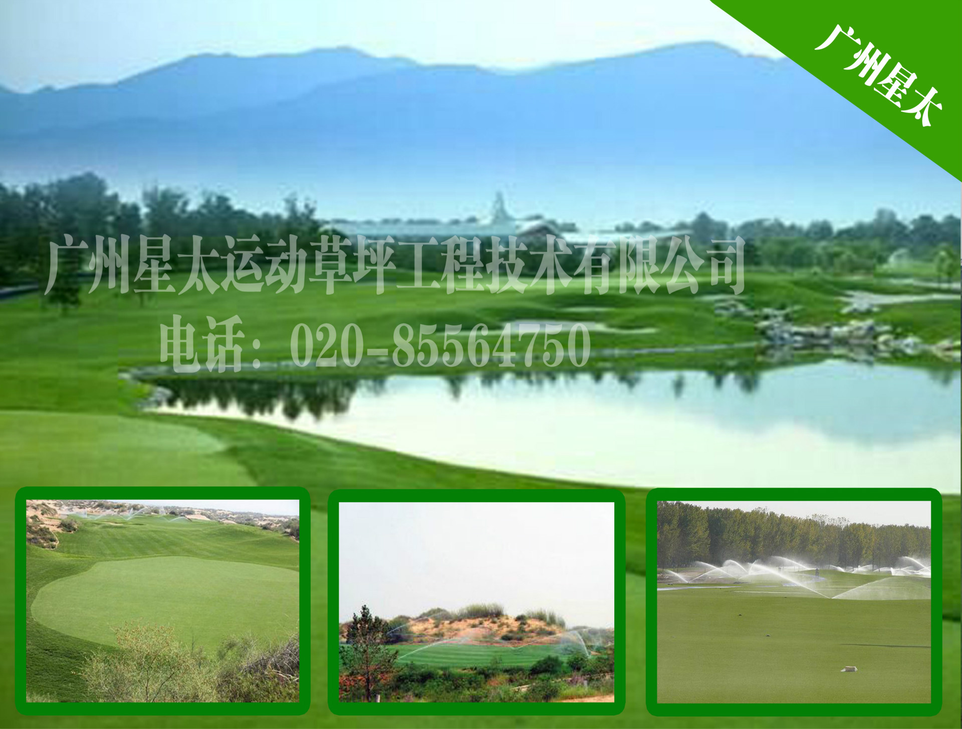 高尔�?1