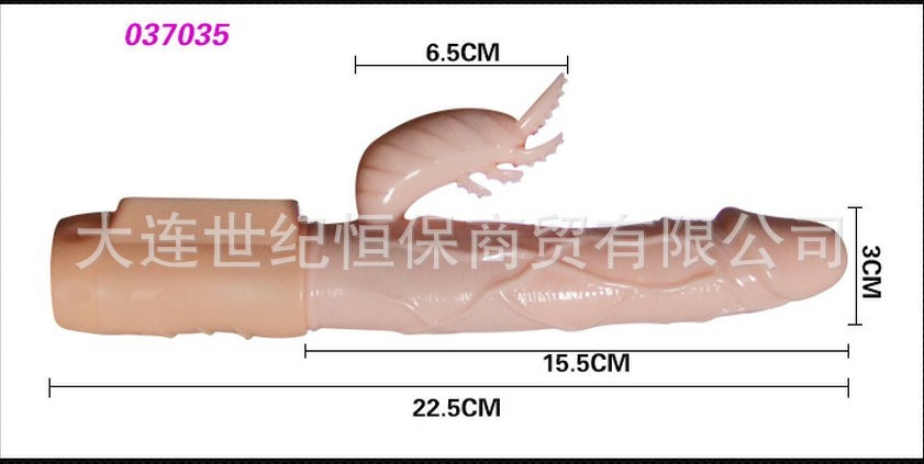 尺寸