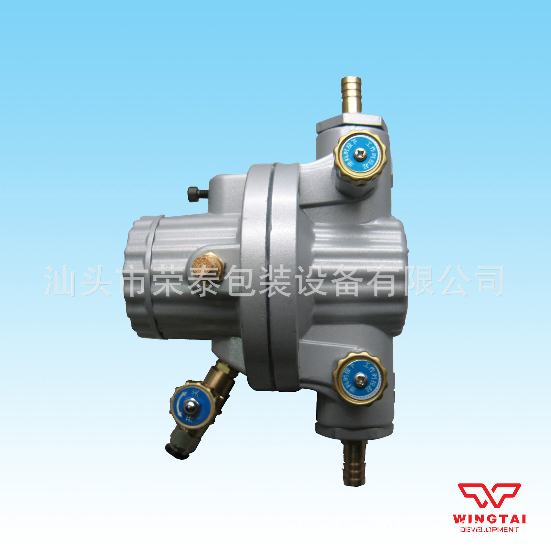 单向隔膜泵5#  蓝 (5)