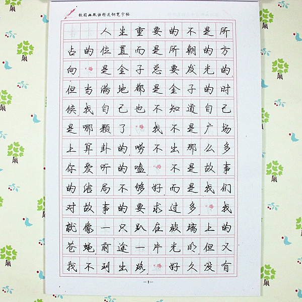 vip批发人生格言行书钢笔字帖 学生成人练字同步 10本包邮