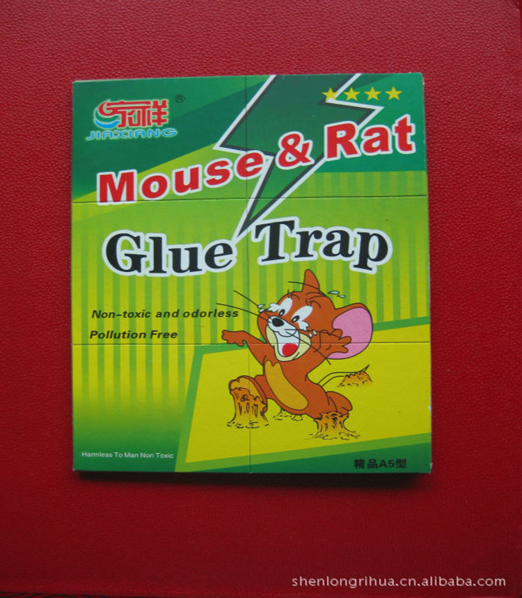 517473773_58321507_副本