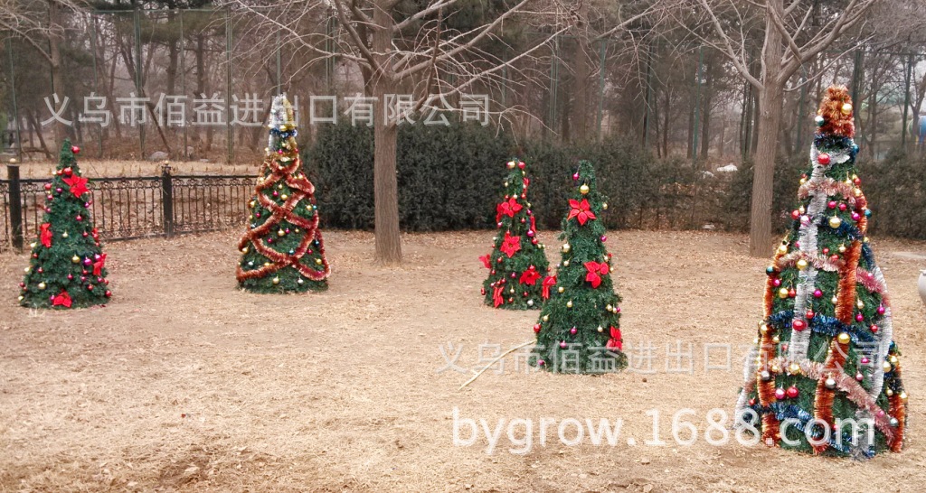 IMG_20130224_142215