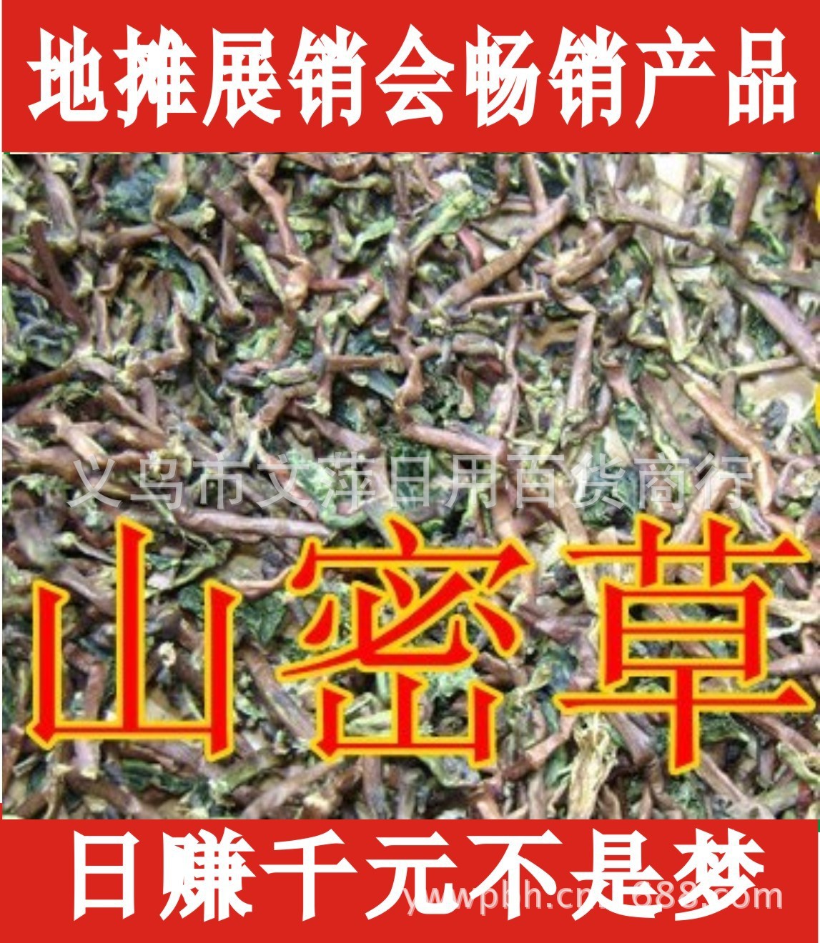 广告山密草、