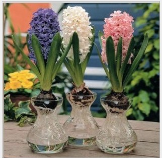 3`TJLND2}A5N]CF4({A{MKT