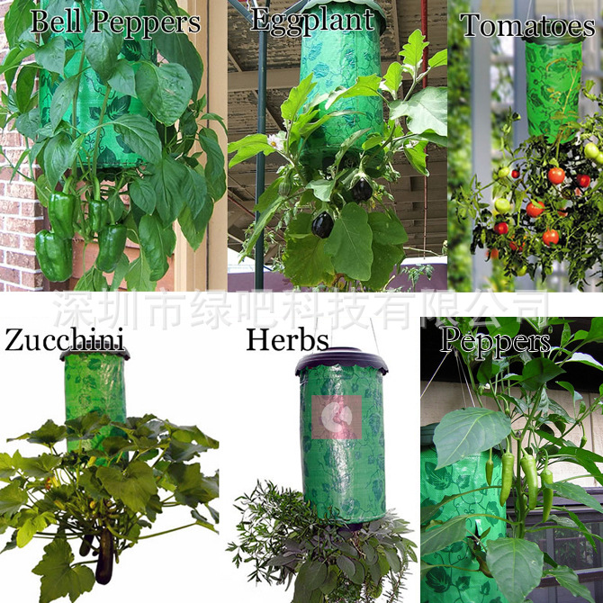 upside tomato planter