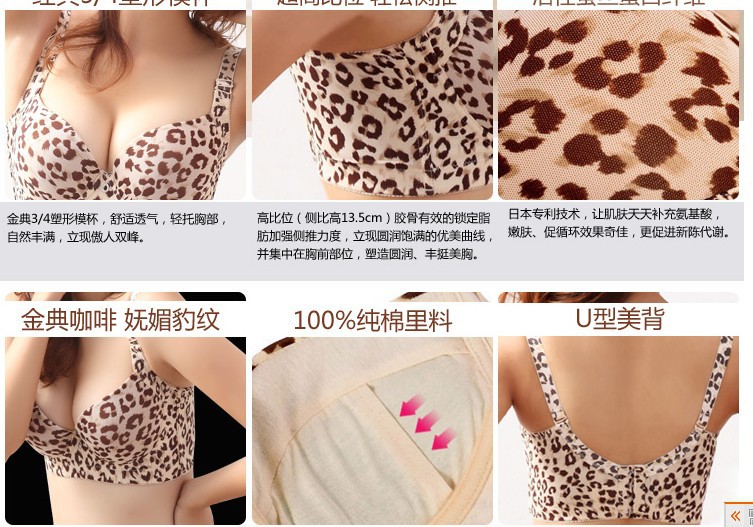 QQ截圖20131117005128