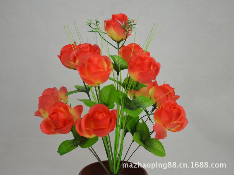 12头仙桃玫230270