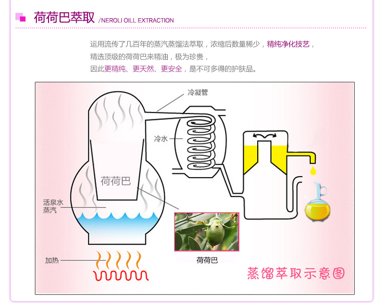 香海岸玫瑰嫩白水潤晶膜_12