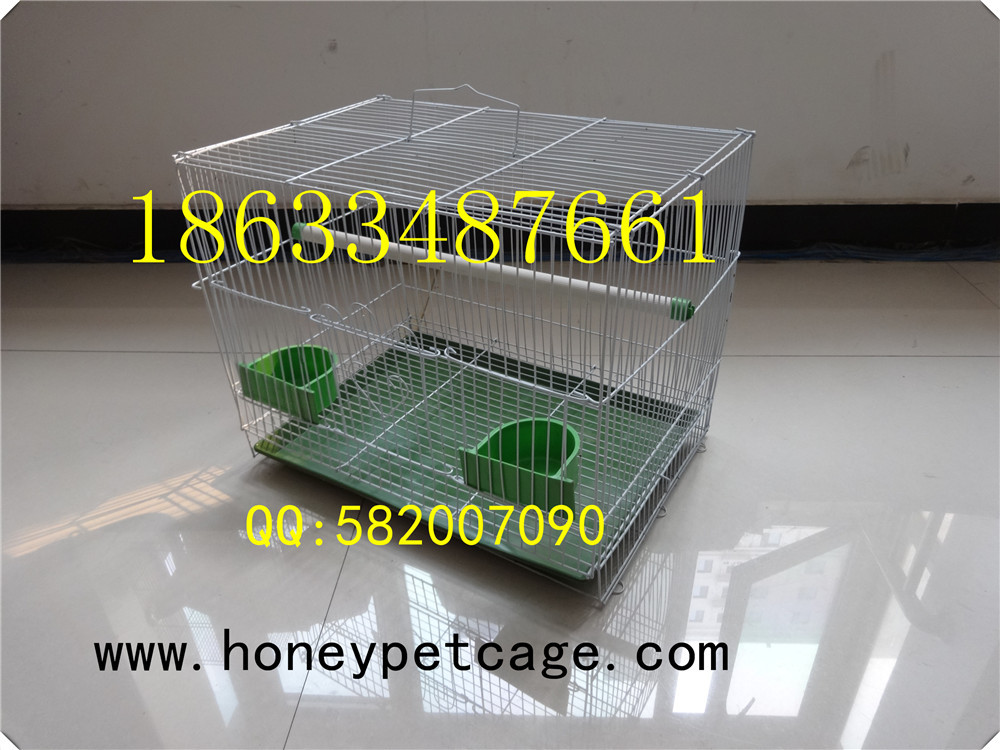 铁丝鸟笼 小群 (3)