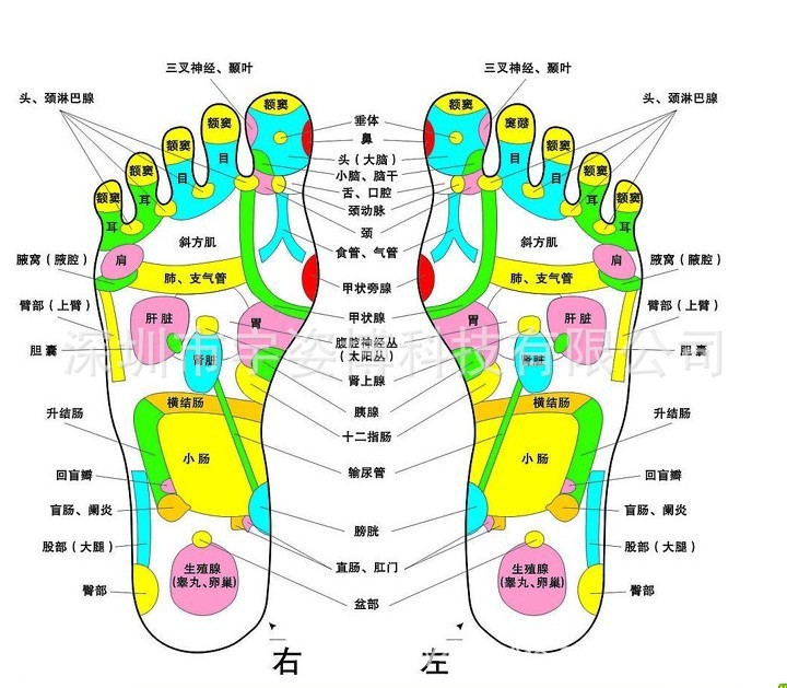 未命有人的交換機