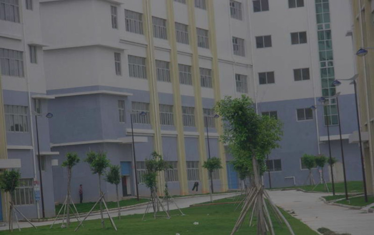 2010012410481250_副本_副本