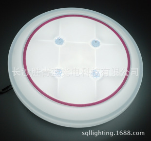 吸顶灯批发供应优质圆形LED吸顶灯现代简约亚克力面罩室内照明