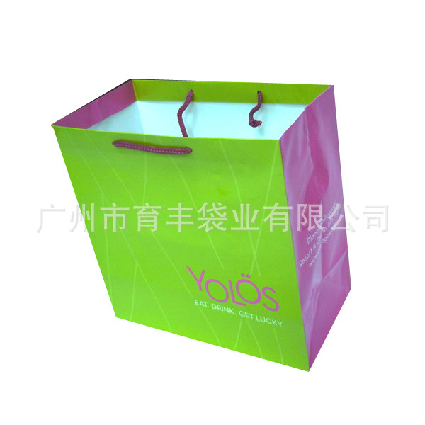 Paper-Gift-Bag-HDBG-58-