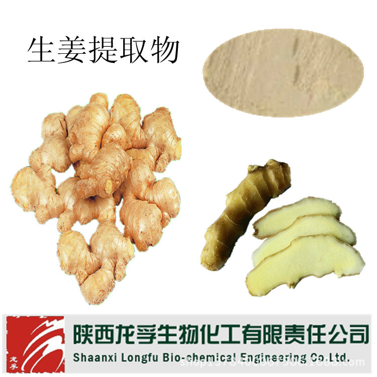 植物提取物厂家供应优质生姜提取物 姜辣素