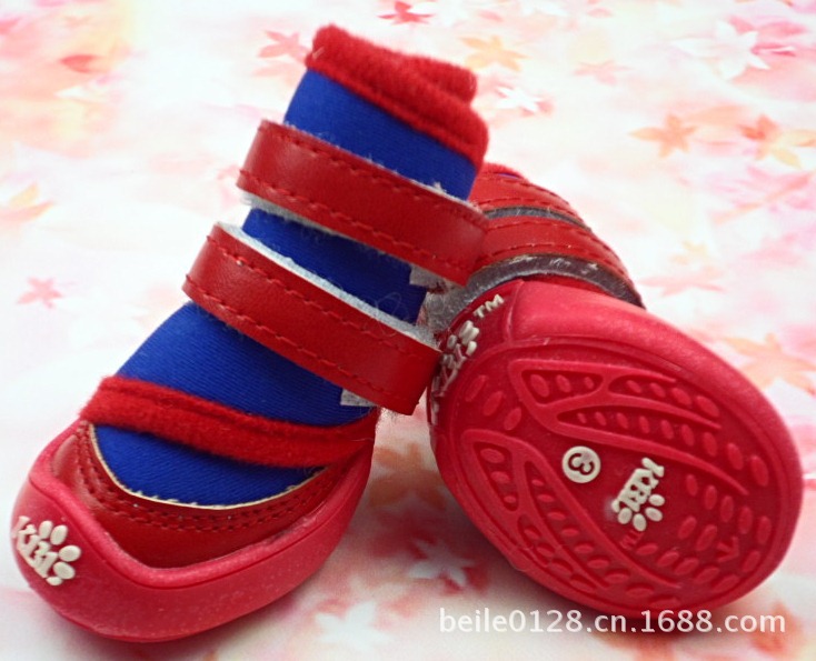 SAM_0653