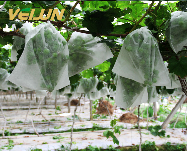 911295308_1191708656