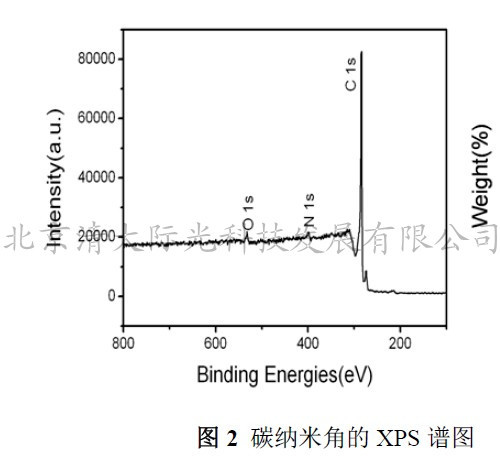 2013碳纳米角XPS谱图_副本