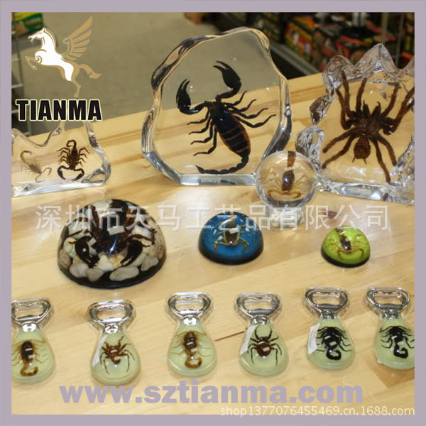 Shop011