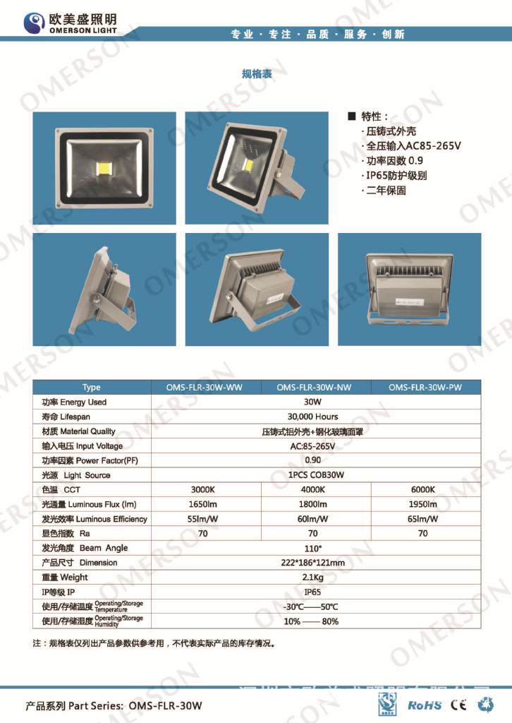 OMS-FLR-30W_页面_2